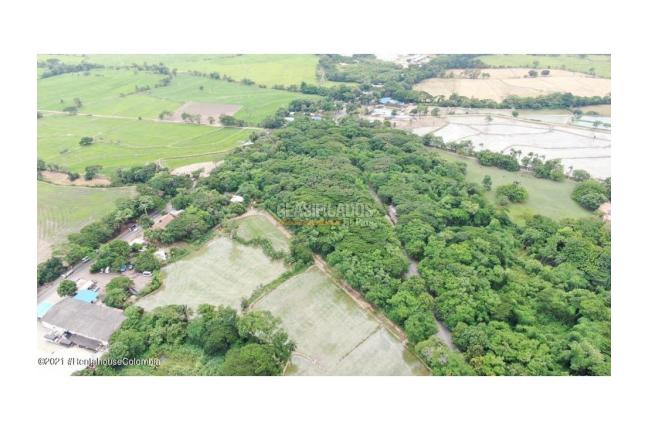 Lotes, Venta en El Zulia