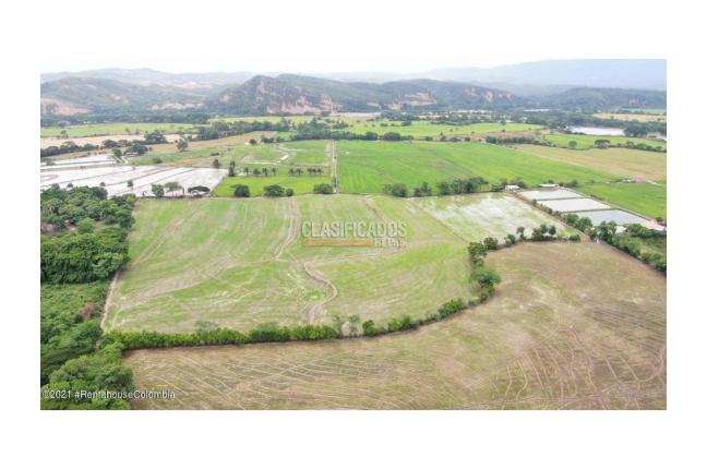 Lotes, Venta, El Zulia - $3.600.000.000
