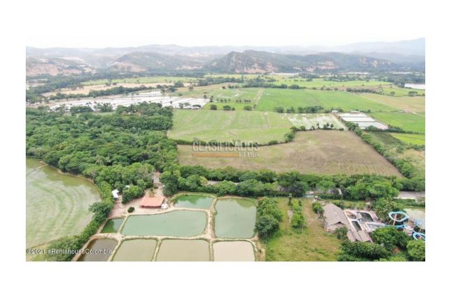 Lotes, Venta, El Zulia - $3.600.000.000