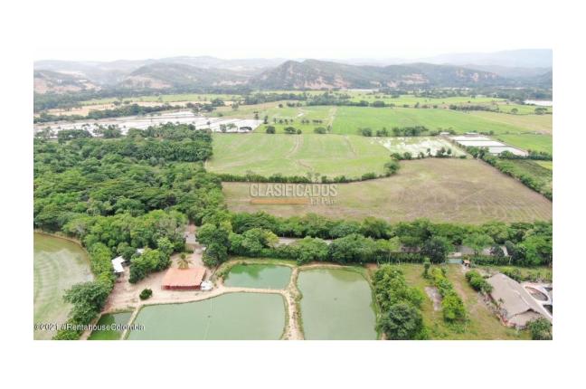 Lotes, Venta, El Zulia - $3.600.000.000