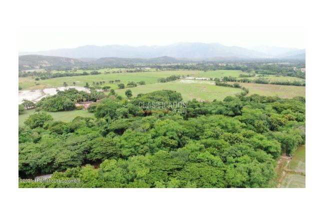 Lotes, Venta, El Zulia - $3.600.000.000