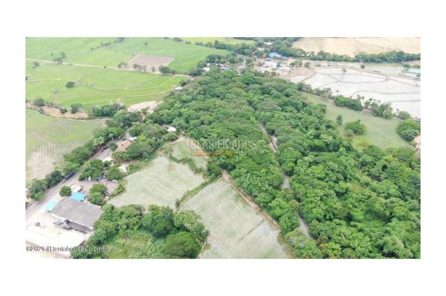 Lotes, Venta, El Zulia - $3.600.000.000