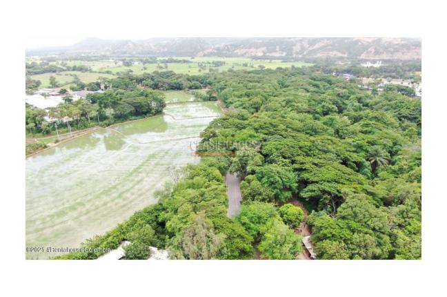 Lotes, Venta, El Zulia - $3.600.000.000