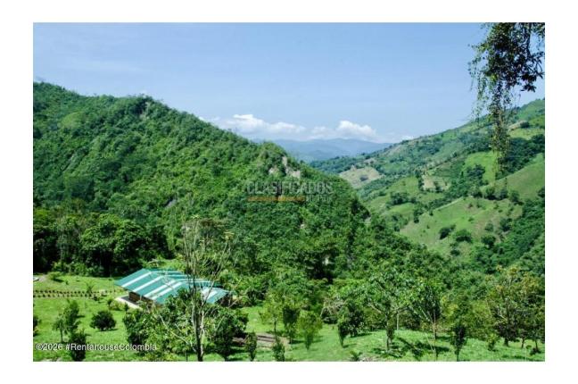 Lotes, Venta, La Vega - $3.800.000.000