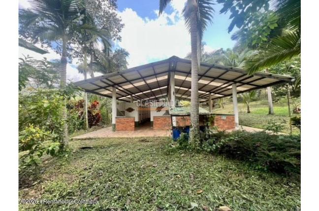 Lotes, Venta, La Vega - $3.800.000.000