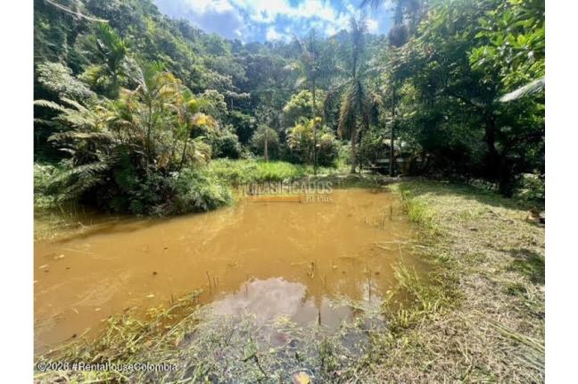 Lotes, Venta, La Vega - $3.800.000.000