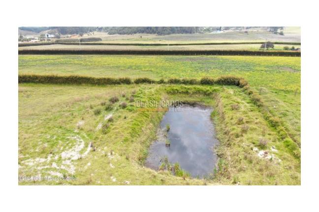 Lotes, Venta, Bojaca - $4.484.760.000