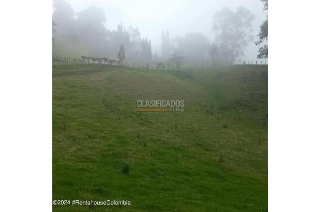 Lotes, Venta, Bojaca - $3.300.000.000