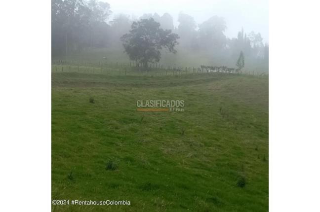 Lotes, Venta, Bojaca - $3.300.000.000