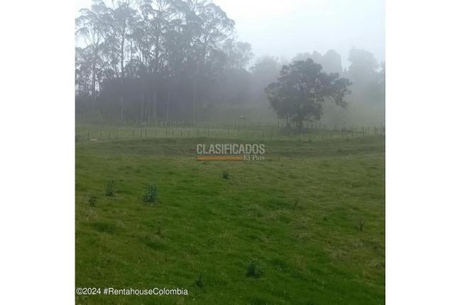 Lotes, Venta, Bojaca - $3.300.000.000