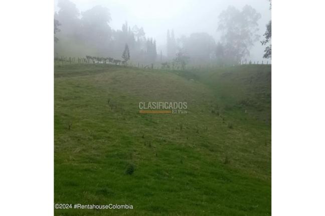 Lotes, Venta, Bojaca - $3.300.000.000