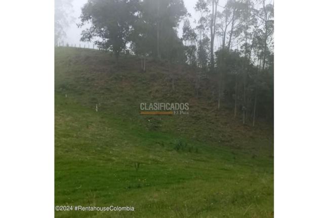 Lotes, Venta, Bojaca - $3.300.000.000