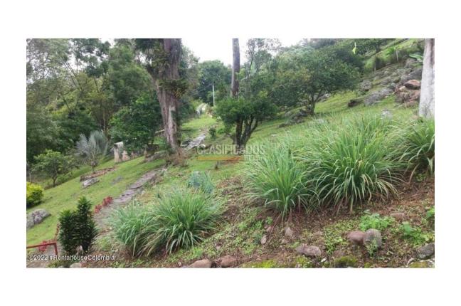 Casas, Venta, Fusagasuga - $550.000.000