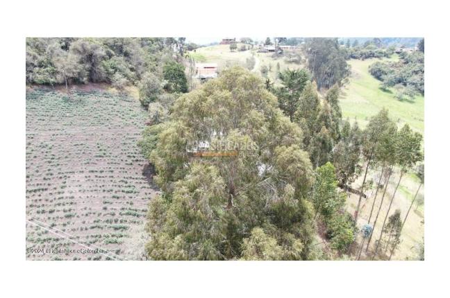 Lotes, Venta, La Calera - $1.500.000.000
