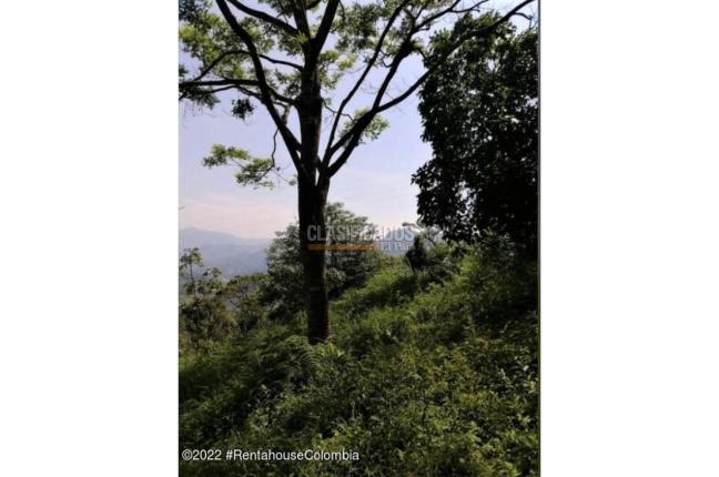 Lotes, Venta, Sasaima - $290.000.000