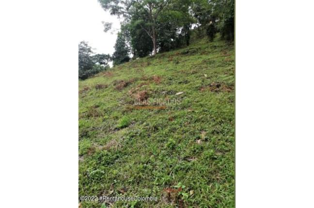 Lotes, Venta, Sasaima - $290.000.000