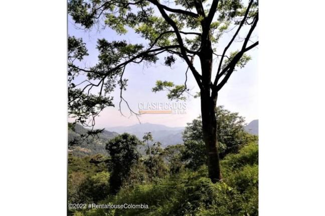 Lotes, Venta, Sasaima - $290.000.000