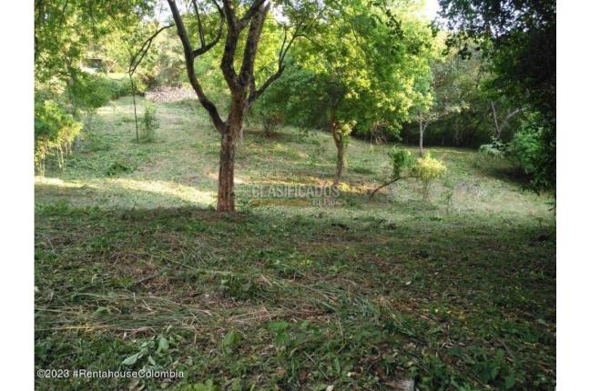 Lotes, Venta, Ricaurte - $500.000.000