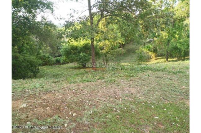 Lotes, Venta, Ricaurte - $500.000.000