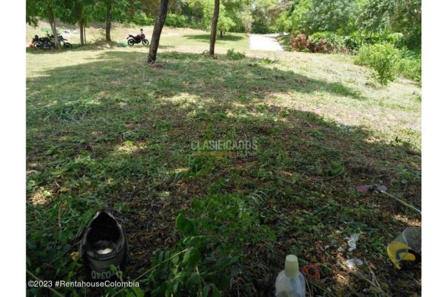 Lotes, Venta, Ricaurte - $500.000.000