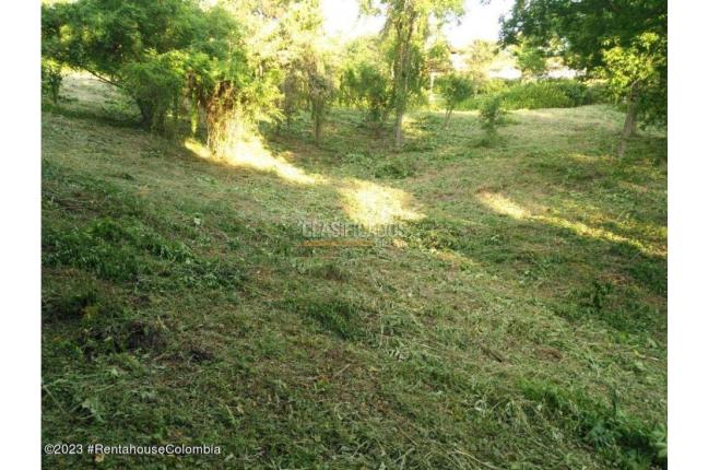 Lotes, Venta, Ricaurte - $500.000.000