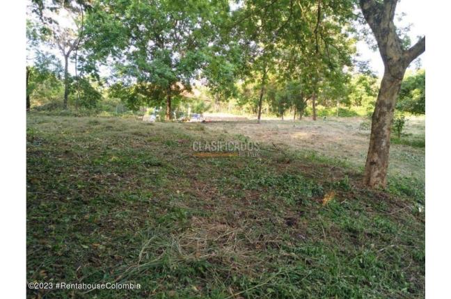 Lotes, Venta, Ricaurte - $500.000.000