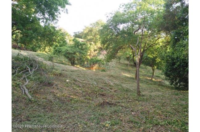 Lotes, Venta, Ricaurte - $500.000.000