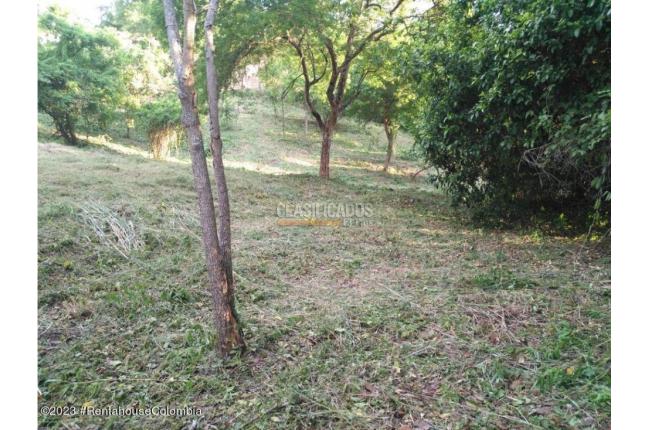 Lotes, Venta, Ricaurte - $500.000.000