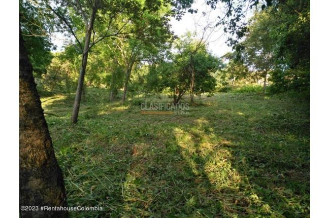 Lotes, Venta, Ricaurte - $500.000.000