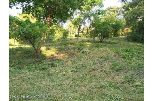 Lotes, Venta, Ricaurte - $500.000.000