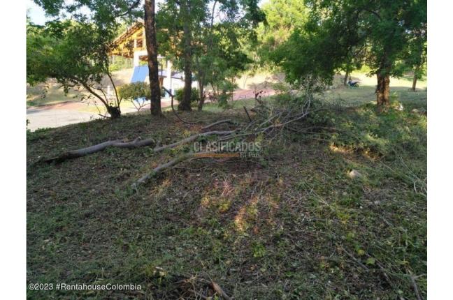 Lotes, Venta, Ricaurte - $500.000.000