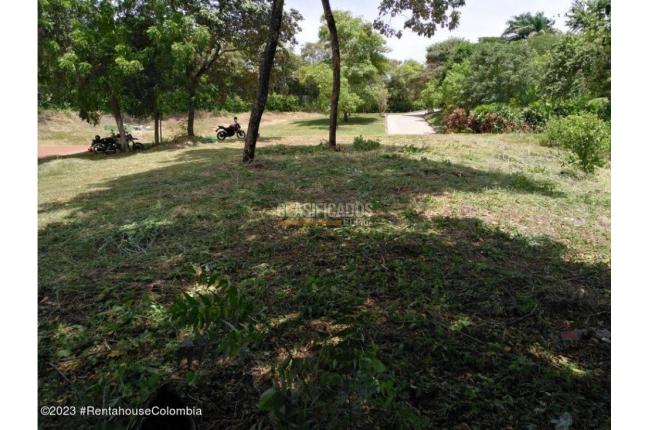 Lotes, Venta, Ricaurte - $500.000.000