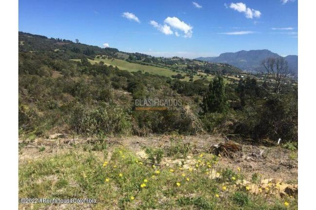 Lotes, Venta, Chía - $553.813.200