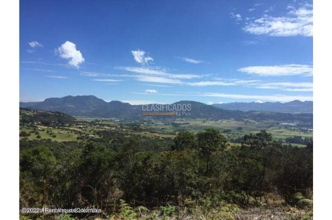 Lotes, Venta, Chía - $553.813.200