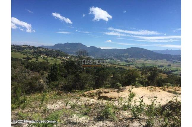 Lotes, Venta, Chía - $553.813.200