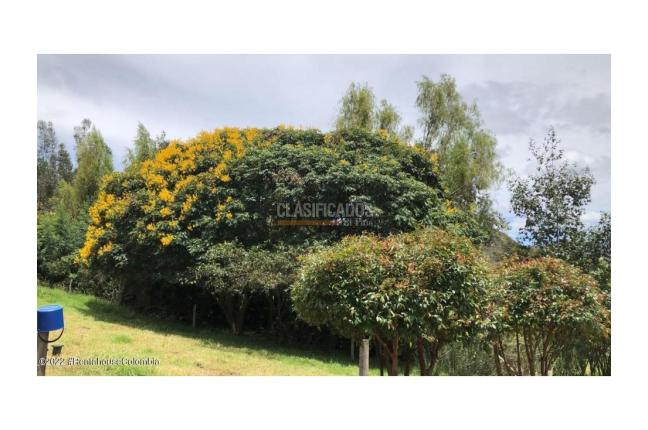 Lotes, Venta, Ubate - $699.000.000