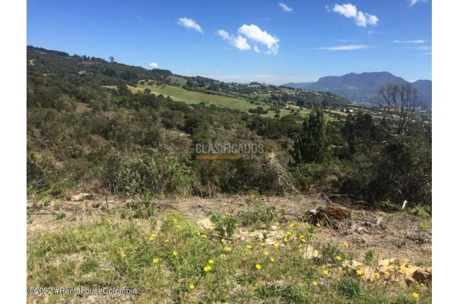 Lotes, Venta, Chía - $649.668.600