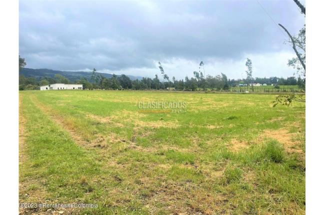 Lotes, Venta, Guasca - $800.000.000