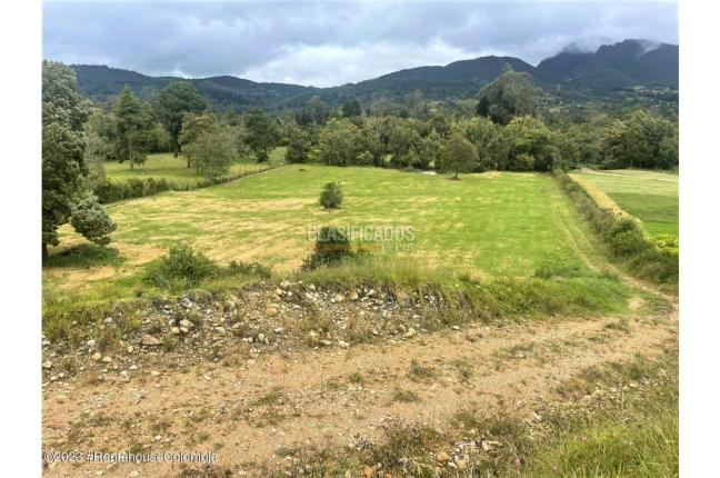 Lotes, Venta, Guasca - $800.000.000