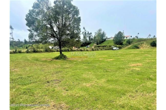 Lotes, Venta, Guasca - $800.000.000