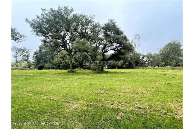 Lotes, Venta, Guasca - $800.000.000