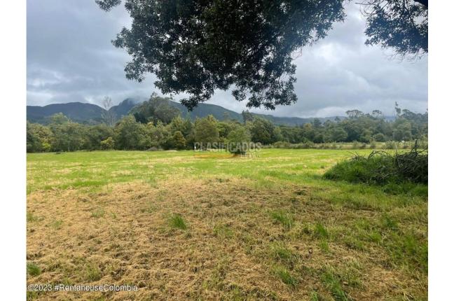 Lotes, Venta, Guasca - $800.000.000