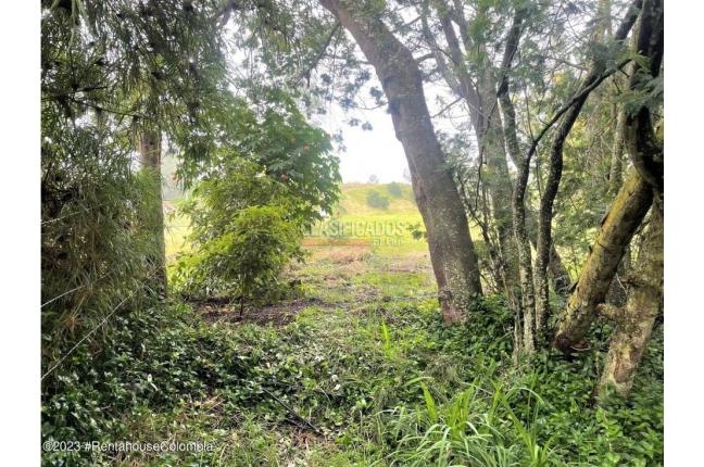 Lotes, Venta, Guasca - $800.000.000