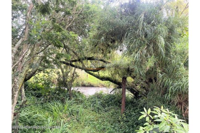 Lotes, Venta, Guasca - $800.000.000