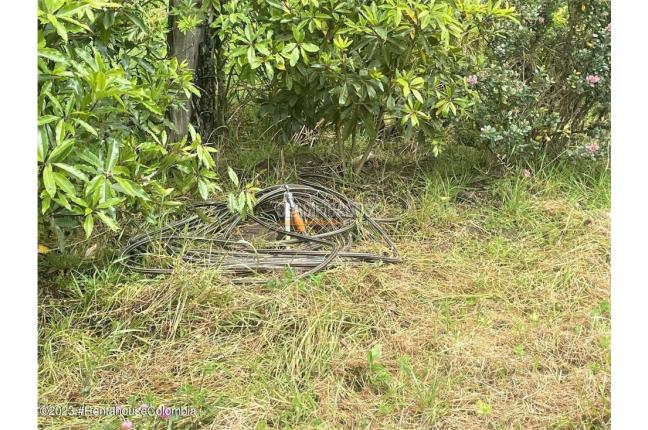 Lotes, Venta, Guasca - $800.000.000