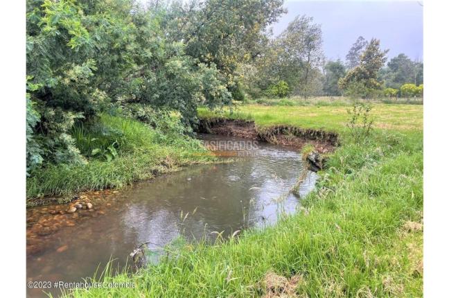 Lotes, Venta, Guasca - $800.000.000