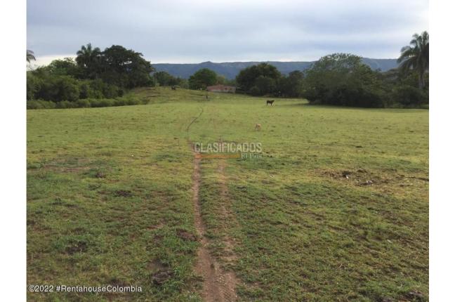 Lotes, Venta, Carmen de Apicala - $900.000.000