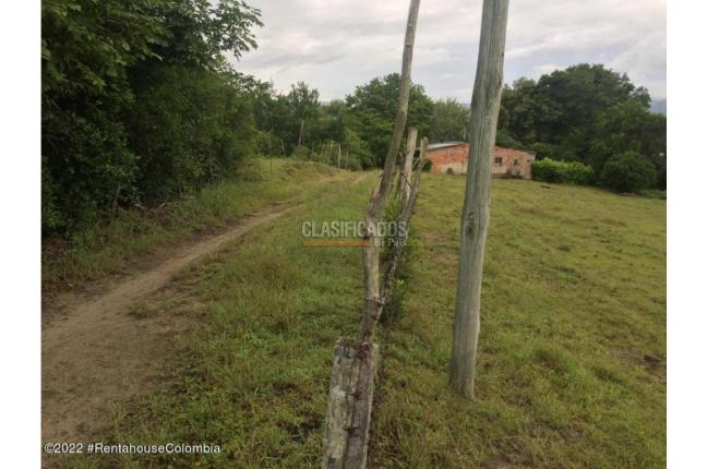 Lotes, Venta, Carmen de Apicala - $900.000.000