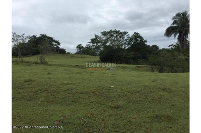 Lotes, Venta, Carmen de Apicala - $900.000.000