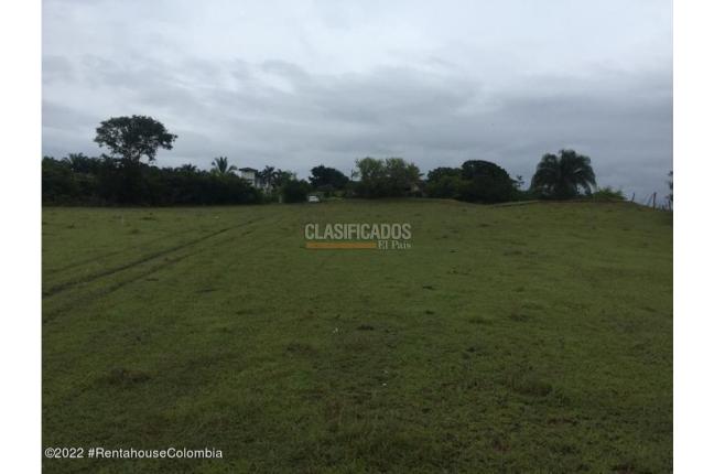 Lotes, Venta, Carmen de Apicala - $900.000.000